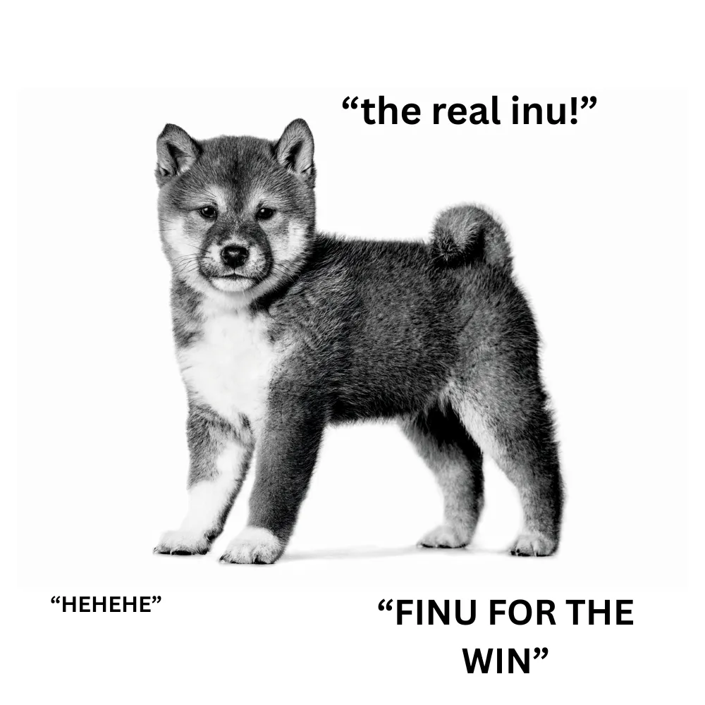 FINU Logo